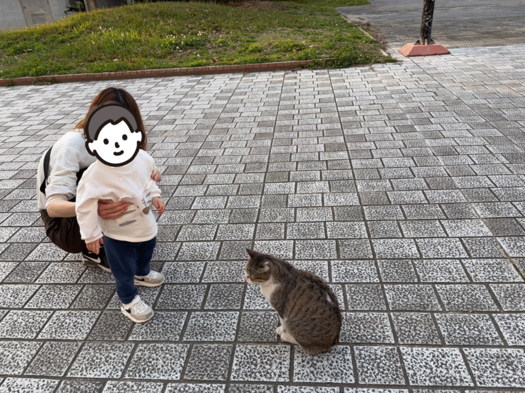 野良猫に近寄り、喜ぶ息子の写真。