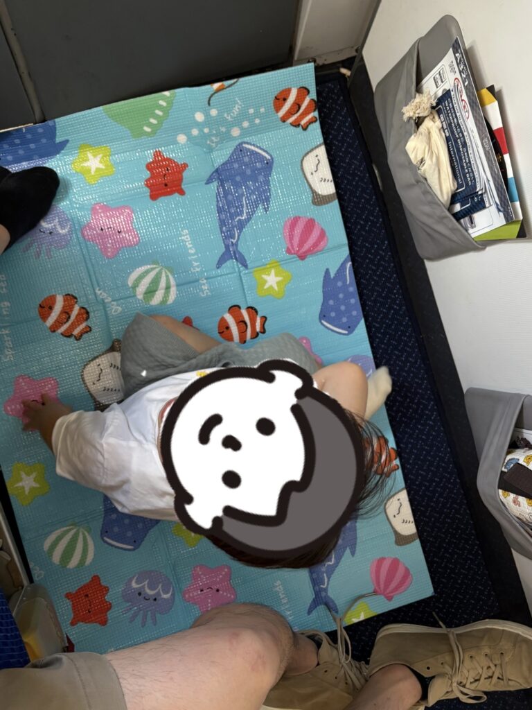 レジャーシートの上で遊ぶ息子の写真。